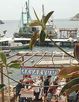 Fisch-Restaurant in Gümüslük